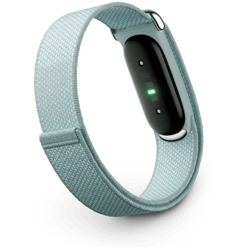 Фитнес-браслет Google Fitbit Air, Fog