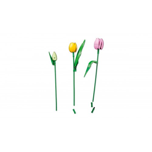 Конструктор LEGO Botanicals Tulip Bouquet (11501)