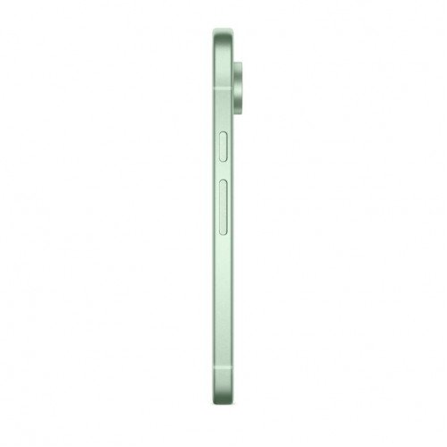 Смартфон Google Pixel 9 12/128GB, Wintergreen