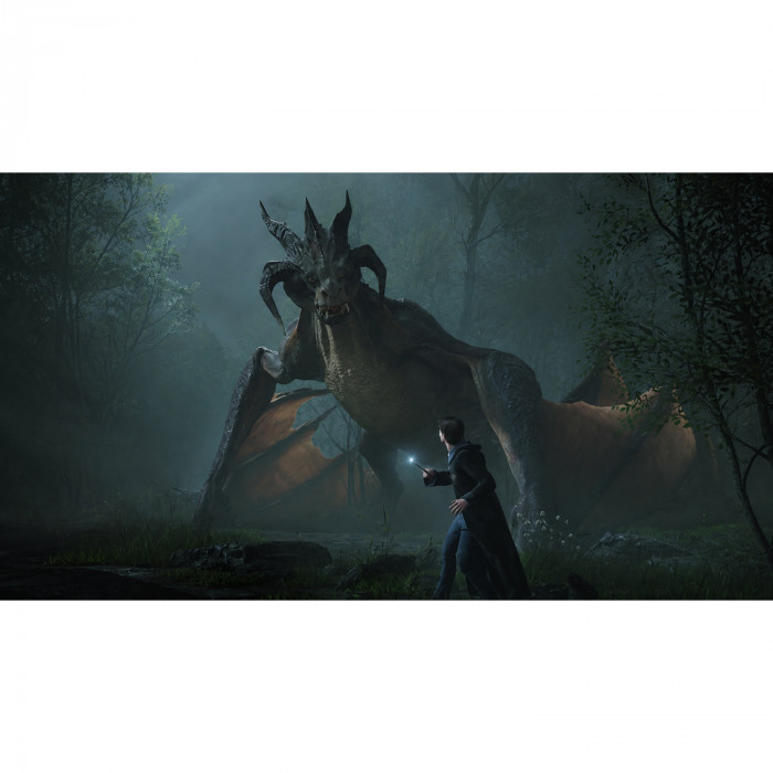 Игра для PS5 «Hogwarts Legacy» (рус.суб.)