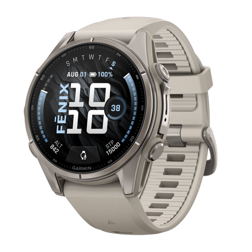 Умные часы Garmin Fenix 9 43mm, Туманно-серый, Ремешок черный